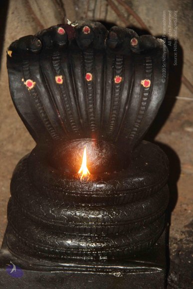 20130926_Photo_1002_1_nRtE8LiEKeq7d1k82IxNdReeeWkbctd