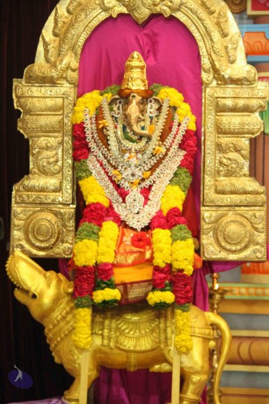 2-Satsang_Photo_1002_IMG_9771_CMP_WM