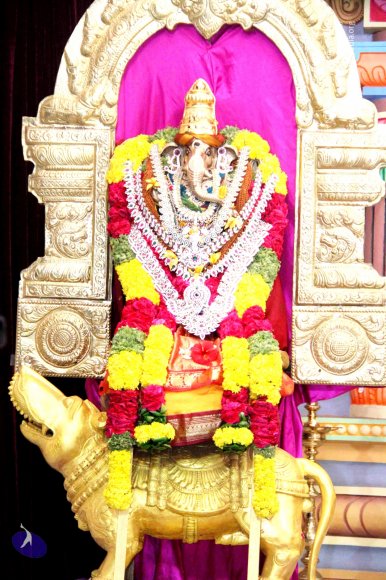 2-Satsang_Photo_1003_IMG_9772_CMP_WM