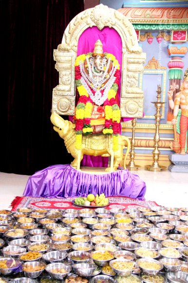 2-Satsang_Photo_1006_IMG_9796_CMP_WM