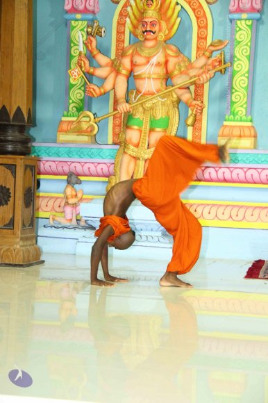 4-Yoga_Photo_1031_IMG_0272_CMP_WM