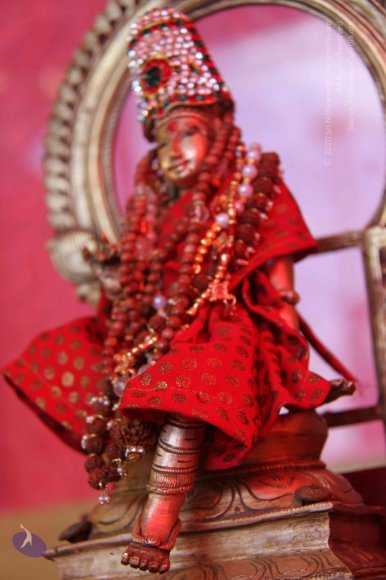 Temple_Photo_1007_IMG_1311_CMP_WM