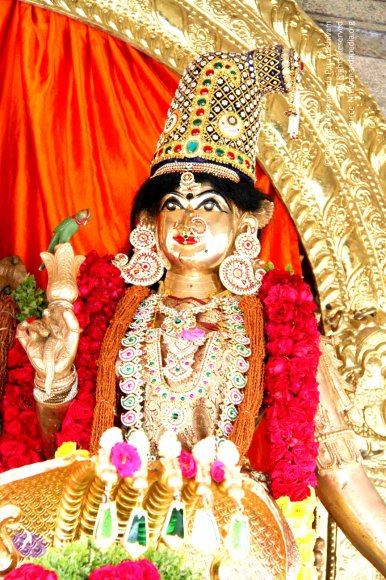 2-Temple_Photo_1004_IMG_5929_CMP_WM