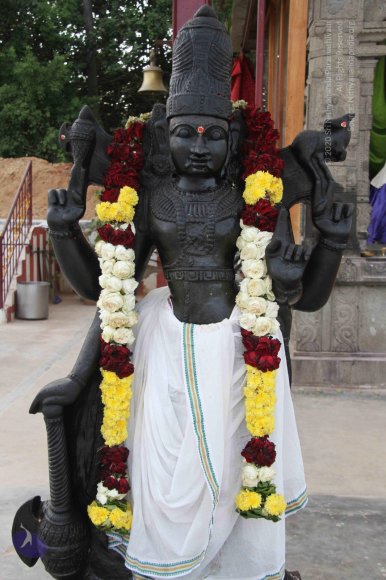 20130929_Photo_1024_IMG_0215_CMP_WM