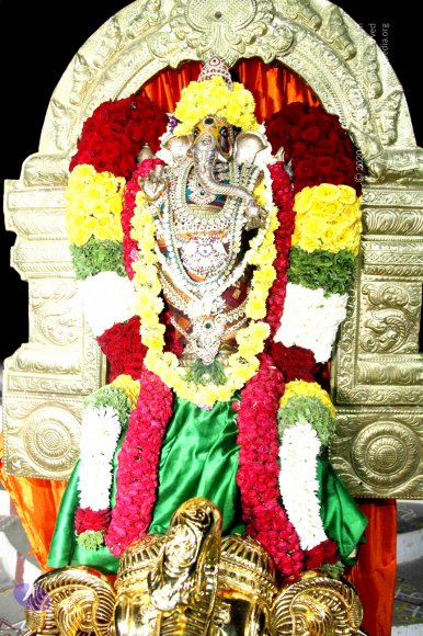 10-Homa_Photo_1002_IMG_0232_CMP_WM