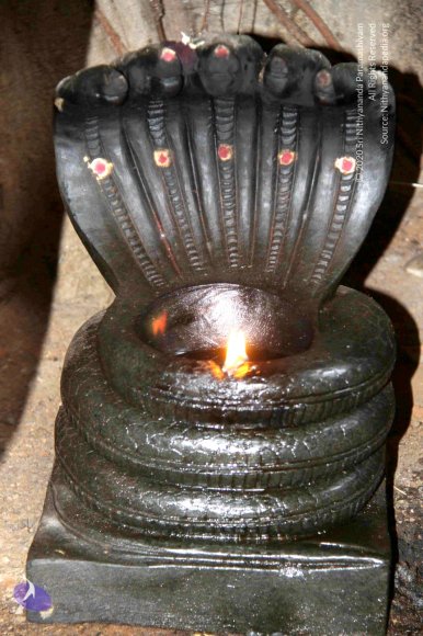 8-Temple_Photo_1007_IMG_0028_CMP_WM