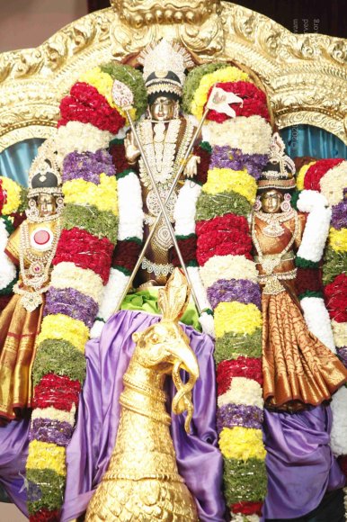 1-Pada-Puja-and-Satsang_Photo_1000__MG_9754_CMP_WM