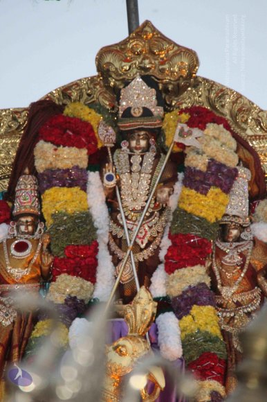 3-Subramania-Procession-Panguni-Uthiram_Photo_1005_IMG_0075_CMP_WM