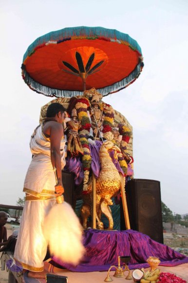 3-Subramania-Procession-Panguni-Uthiram_Photo_1007_IMG_0080_CMP_WM