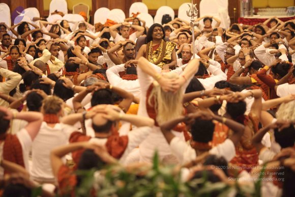 20141214_Photo_1052_IMG_4592_CMP_WM