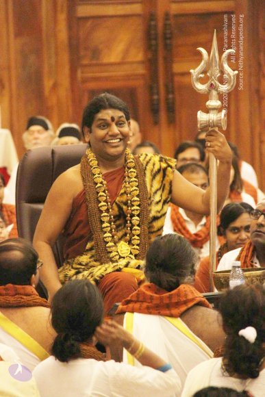 20141214_Photo_1134_IMG_4123_CMP_WM