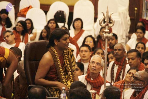 20141214_Photo_1148_IMG_4100_CMP_WM