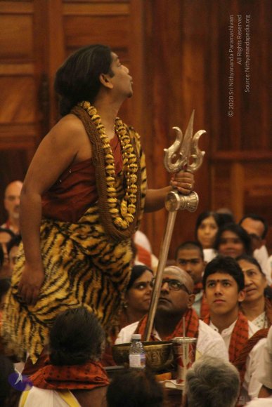 20141214_Photo_1149_IMG_4155_CMP_WM