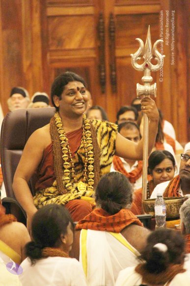 20141214_Photo_1177_IMG_4126_CMP_WM