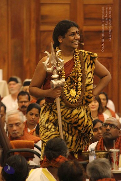 20141214_Photo_1238_IMG_4204_CMP_WM