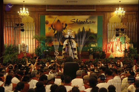 20141214_Photo_1015_IMG_4321_CMP_WM