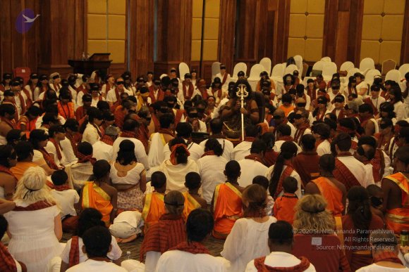 20141214_Photo_1067_IMG_4331_CMP_WM