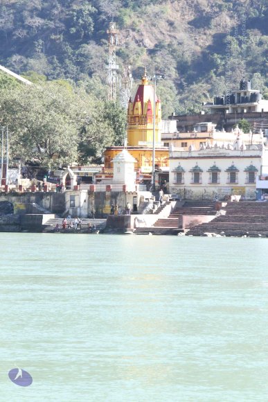 20140119_Photo_1011_IMG_5943_CMP_WM