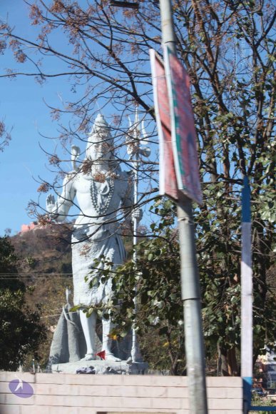 20140119_Photo_1012_IMG_6938_CMP_WM