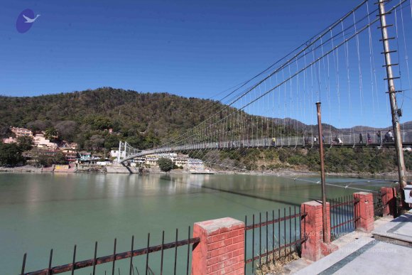 20140119_Photo_1013_IMG_7048_CMP_WM