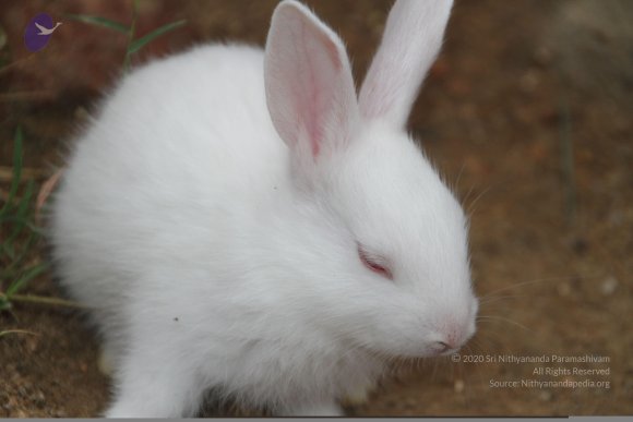 20140715_Photo_1003_IMG_0443_CMP_WM