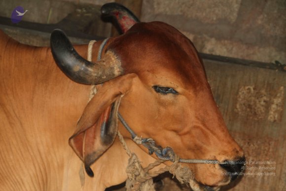 20140715_Photo_1012_IMG_0452_CMP_WM