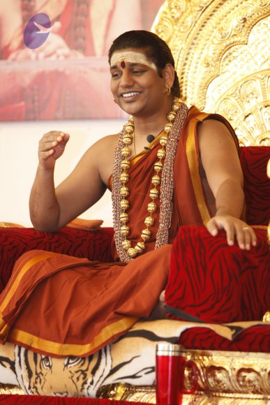 2014-01jan-17th-nithyananda-diary-haridwar-ia_MG_6605-20140117-112416-nithya-satsang_CMP_WM