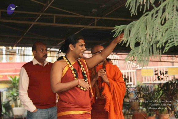 HARIDWAR_Photo_1002_IMG_8252_CMP_WM