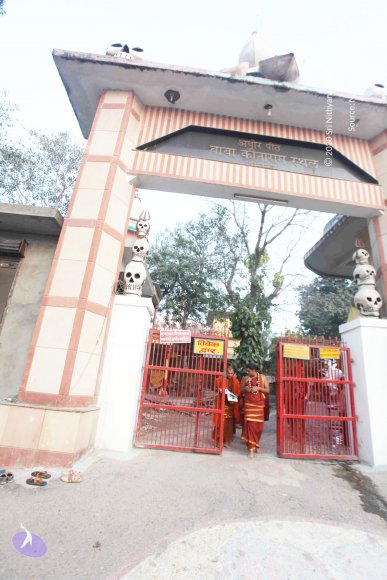 HARIDWAR_Photo_1042_IMG_8910_CMP_WM