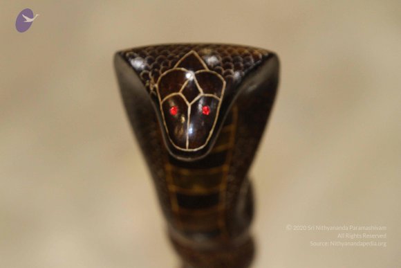 20140716_Photo_1009_IMG_3177_CMP_WM