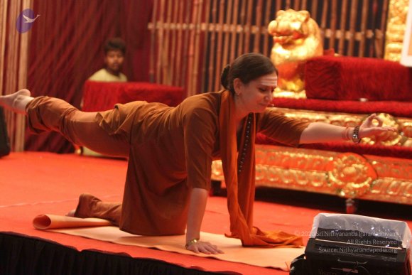 20140716_Photo_1021_IMG_3211_CMP_WM