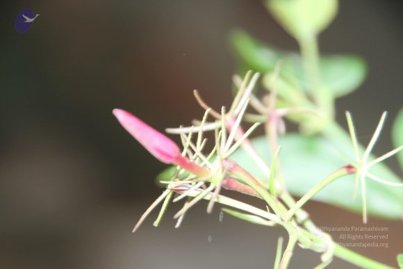 20140716_Photo_1000_1ReRge2tVztFpeG1Ki_JaueMYPcJ4uKSq