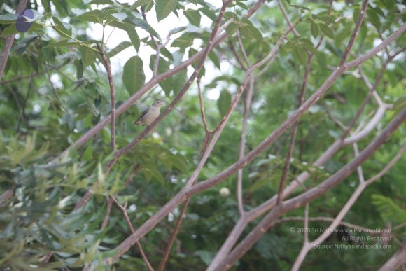 20140716_Photo_1001_1ReRge2tVztFpeG1Ki_JaueMYPcJ4uKSq