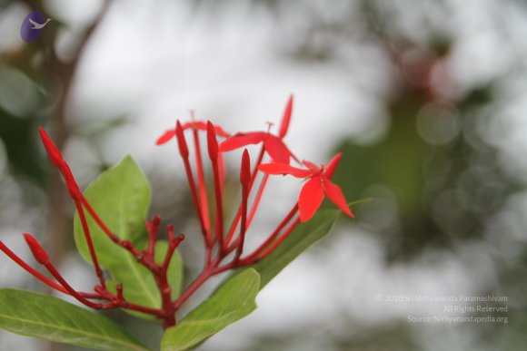 20140716_Photo_1002_1ReRge2tVztFpeG1Ki_JaueMYPcJ4uKSq