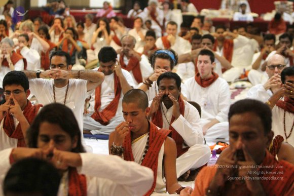 20140717_Photo_1035_IMG_3547_CMP_WM