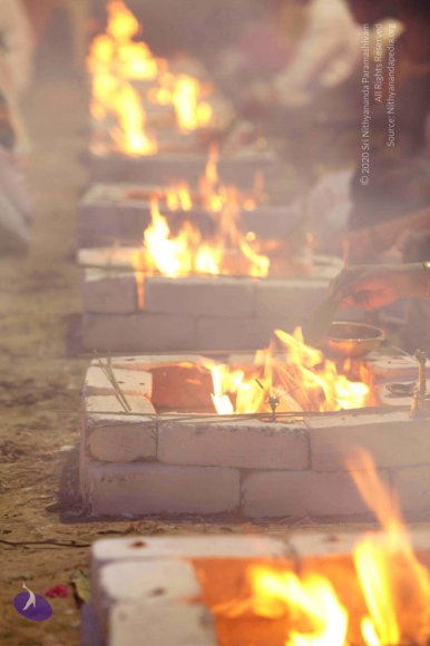 20140629_Photo_1000__MG_7830_CMP_WM