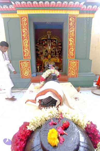 20140629_Photo_1002__MG_7769_CMP_WM