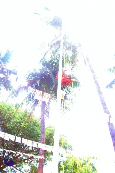 20140629_Photo_1001_IMG_1748_CMP_WM