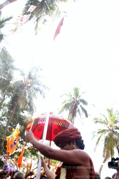 20140629_Photo_1025_IMG_1774_CMP_WM