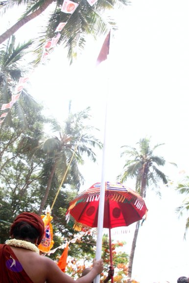 20140629_Photo_1026_IMG_1775_CMP_WM