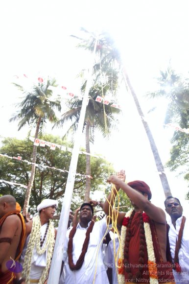 20140629_Photo_1040__MG_7612_CMP_WM