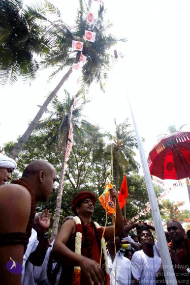20140629_Photo_1044__MG_7619_CMP_WM