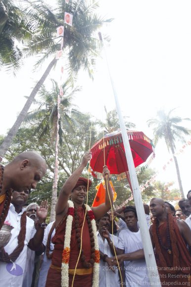 20140629_Photo_1048__MG_7623_CMP_WM
