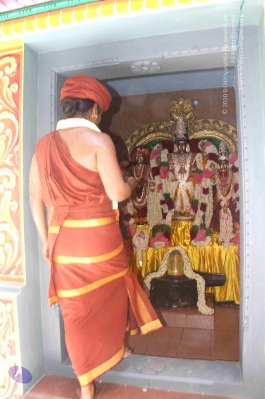 20140629_Photo_1006_IMG_1818_CMP_WM