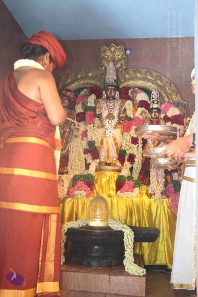 20140629_Photo_1010_IMG_1834_CMP_WM