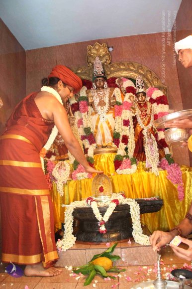 20140629_Photo_1022_IMG_1872_CMP_WM