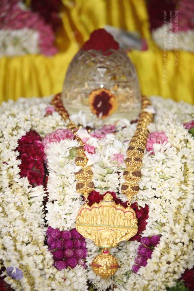 20140629_Photo_1070__MG_7802_CMP_WM