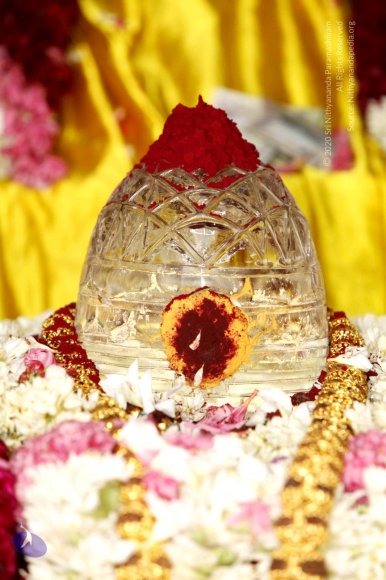 20140629_Photo_1073__MG_7805_CMP_WM