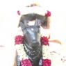 4-Prana-Pratistha-Of-The-Spatika-Lingam