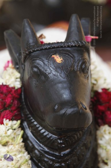 20140629_Photo_1080__MG_7823_CMP_WM